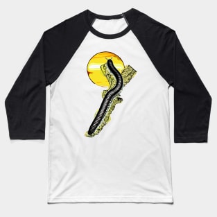 Ophistreptus guineensis sunset Baseball T-Shirt